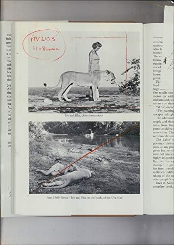 תצלום וינטג 'של ג'וי גאוס אדמסון ואלזה הלביאה.
